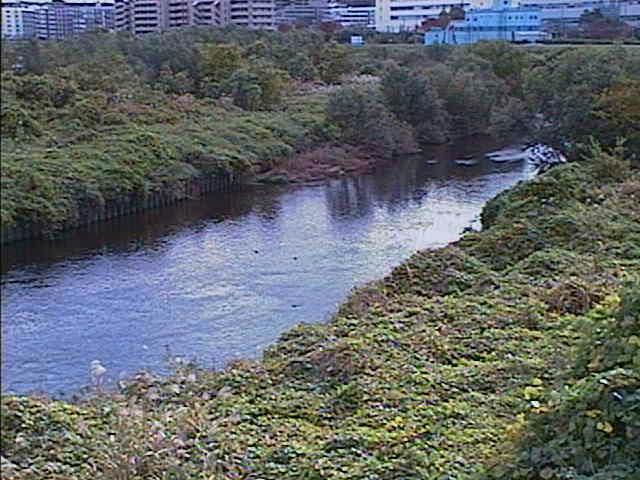 落合橋付近のカメラ画像