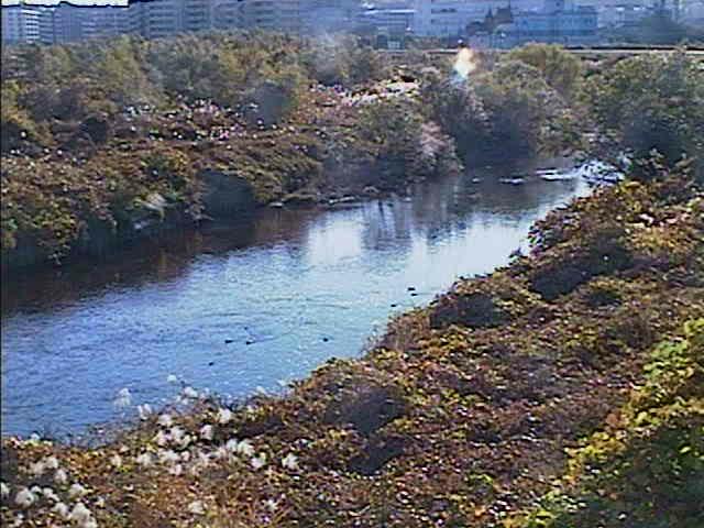 落合橋付近のカメラ画像