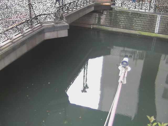 西鶴屋橋付近のカメラ画像