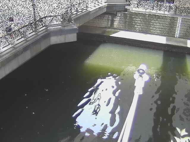 帷子川分水路 西鶴屋橋付近のカメラ画像