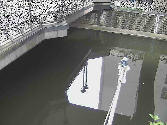 帷子川分水路 西鶴屋橋付近のカメラ画像