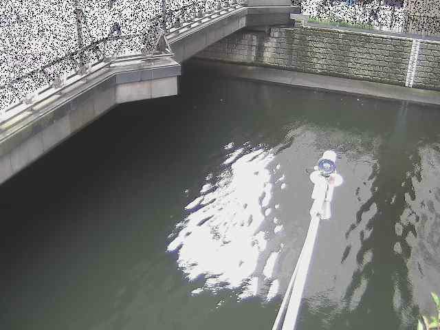 帷子川分水路 西鶴屋橋付近のカメラ画像