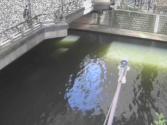 帷子川分水路 西鶴屋橋付近のカメラ画像