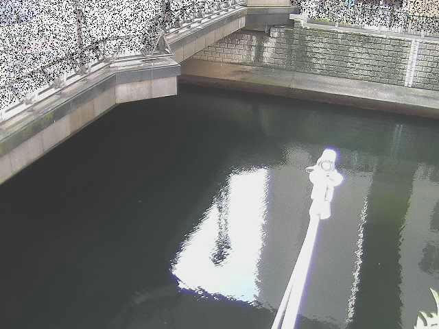 帷子川分水路 西鶴屋橋付近のカメラ画像