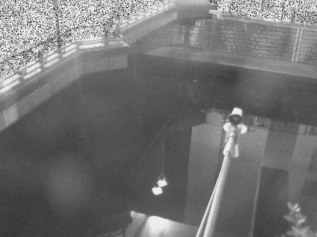 帷子川分水路 西鶴屋橋付近のカメラ画像