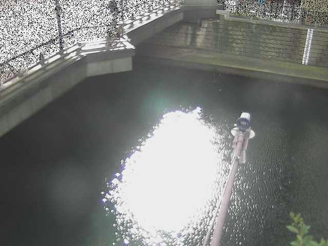 西鶴屋橋付近のカメラ画像