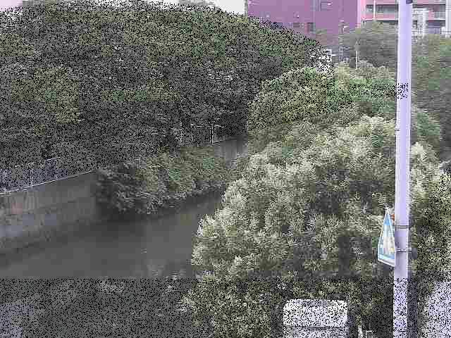 石崎川 石崎橋付近のカメラ画像