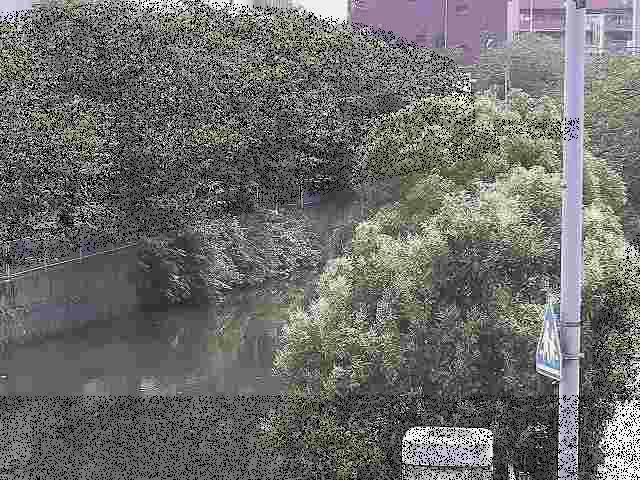 石崎川 石崎橋付近のカメラ画像