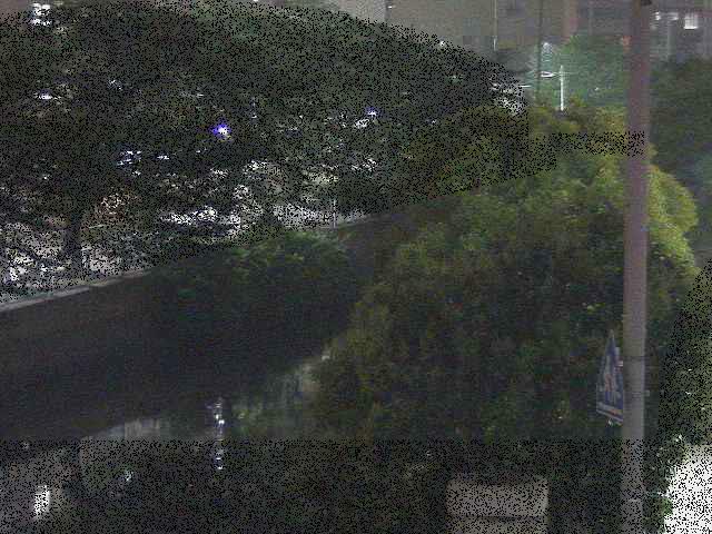 石崎川 石崎橋付近のカメラ画像