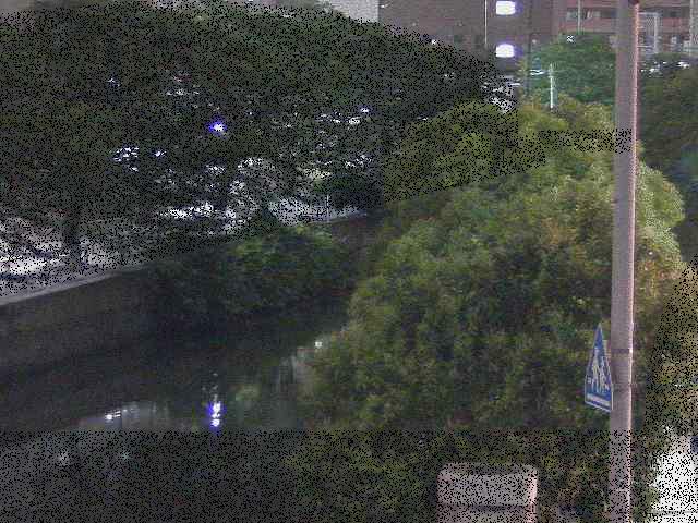 石崎橋付近のカメラ画像
