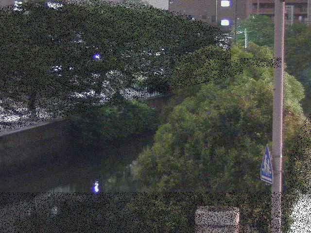 石崎橋付近のカメラ画像