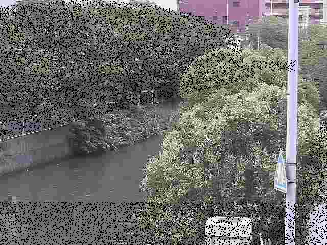 石崎川 石崎橋付近のカメラ画像