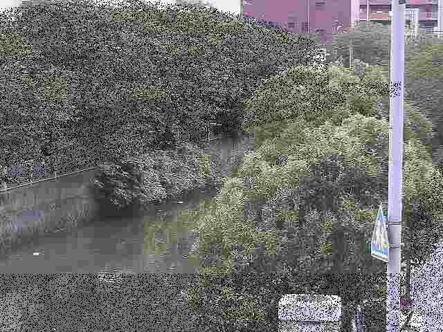 石崎川 石崎橋付近のカメラ画像
