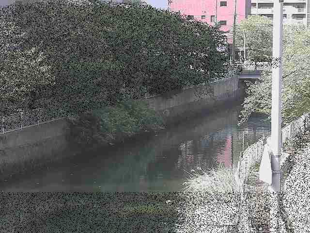 石崎川 石崎橋付近のカメラ画像