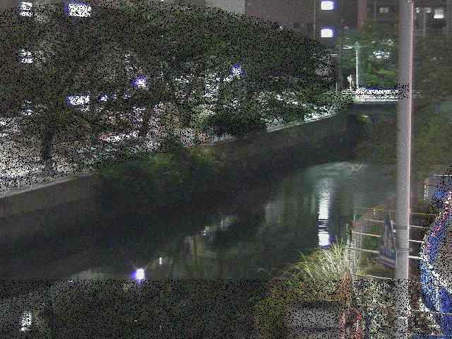 石崎川 石崎橋付近のカメラ画像