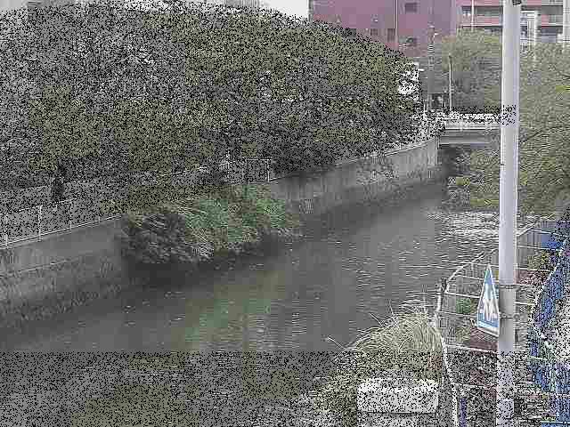 石崎川 石崎橋付近のカメラ画像