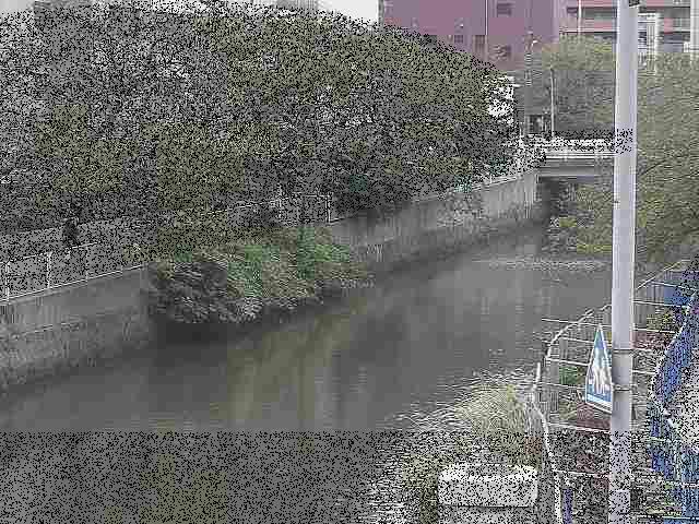 石崎橋付近のカメラ画像