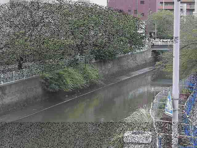 石崎橋付近のカメラ画像