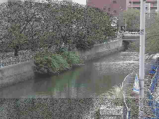 石崎橋付近のカメラ画像