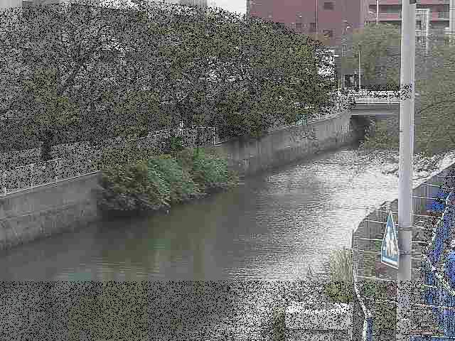 石崎川 石崎橋付近のカメラ画像