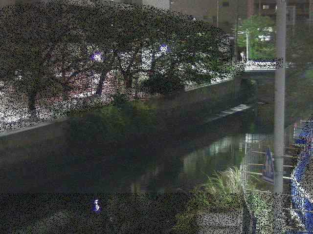 石崎橋付近のカメラ画像