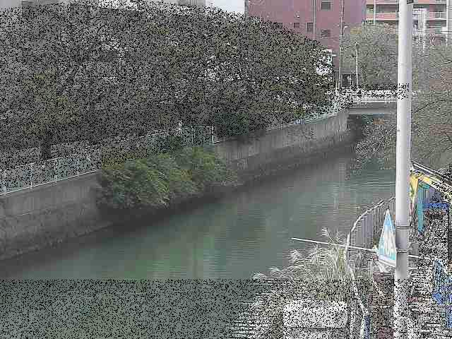 石崎橋付近のカメラ画像