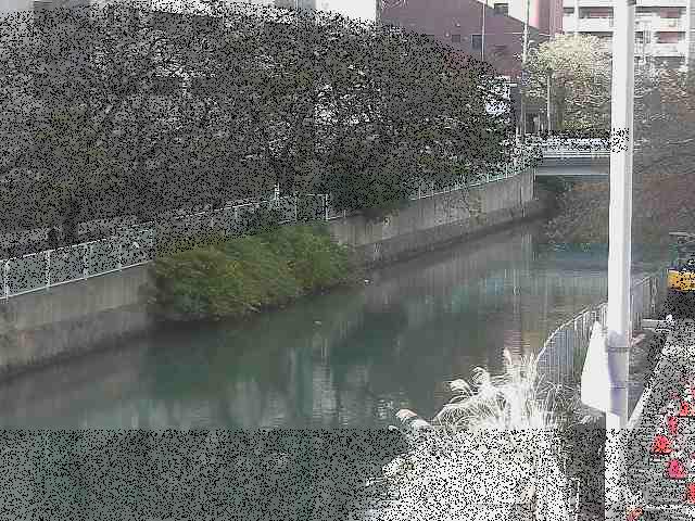 石崎橋付近のカメラ画像