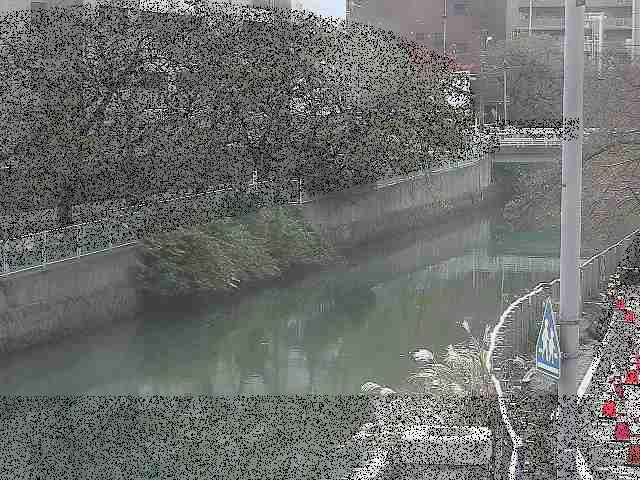 石崎橋付近のカメラ画像
