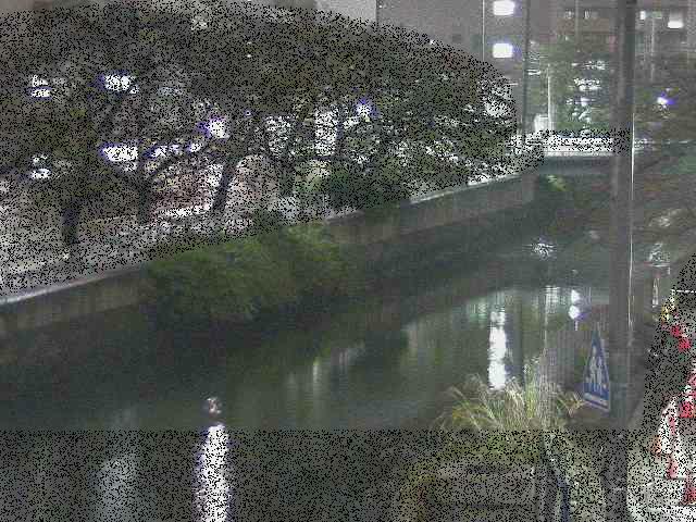 石崎川 石崎橋付近のカメラ画像