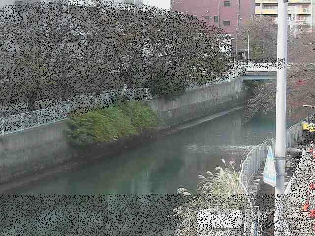 石崎橋付近のカメラ画像