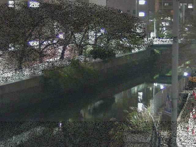石崎川 石崎橋付近のカメラ画像