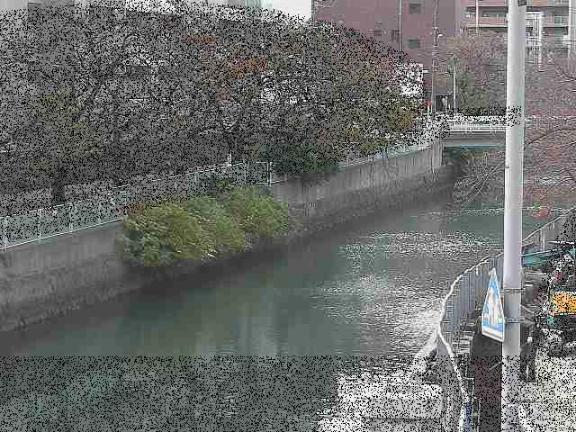 石崎橋付近のカメラ画像