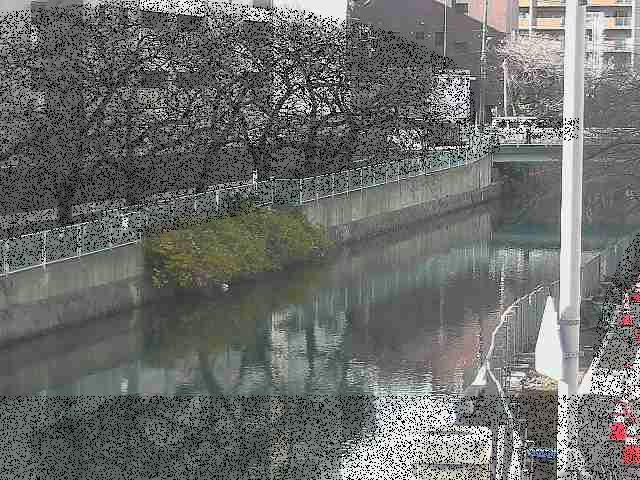 石崎橋付近のカメラ画像