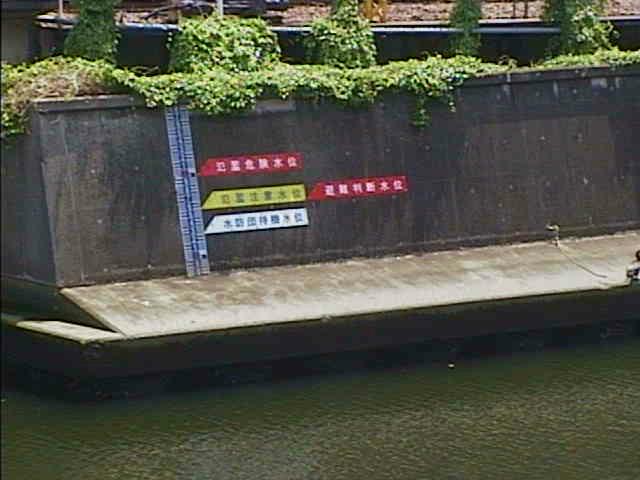 帷子川 元平沼橋付近のカメラ画像