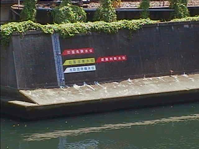 元平沼橋付近のカメラ画像