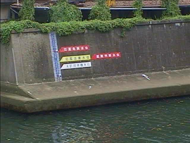 帷子川 元平沼橋付近のカメラ画像
