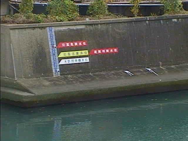 元平沼橋付近のカメラ画像