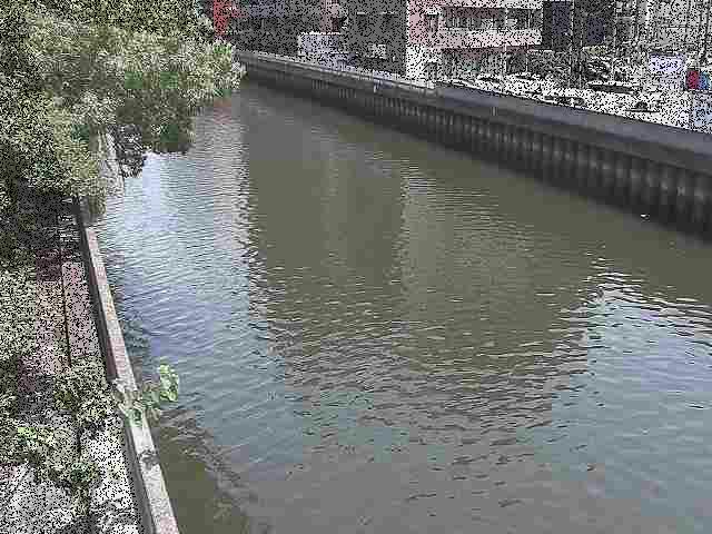 新田間川 新田間橋付近のカメラ画像