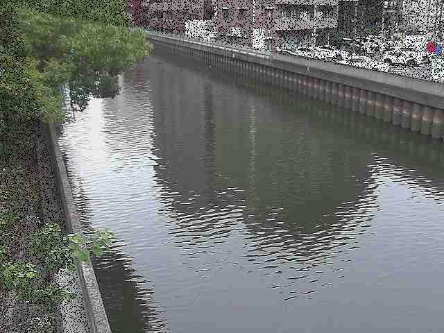 新田間橋付近のカメラ画像