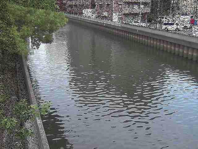 新田間川 新田間橋付近のカメラ画像