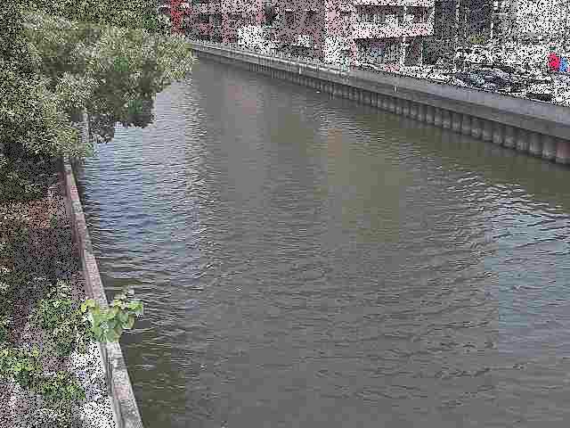 新田間橋付近のカメラ画像