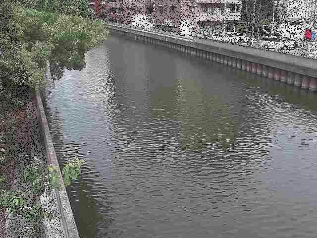新田間川 新田間橋付近のカメラ画像