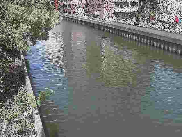 新田間川 新田間橋付近のカメラ画像