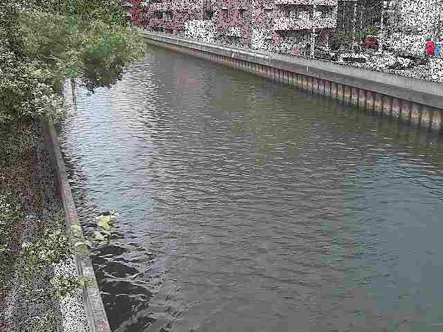 新田間川 新田間橋付近のカメラ画像
