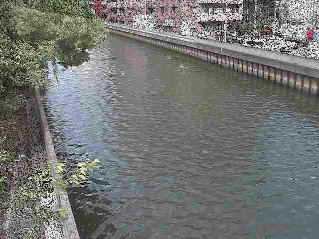 新田間橋付近のカメラ画像