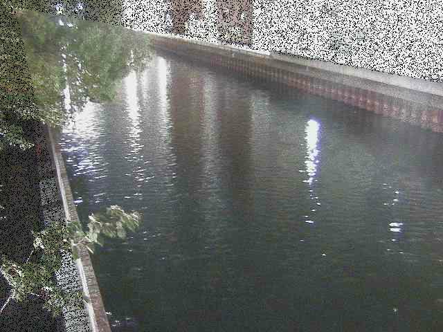 新田間川 新田間橋付近のカメラ画像