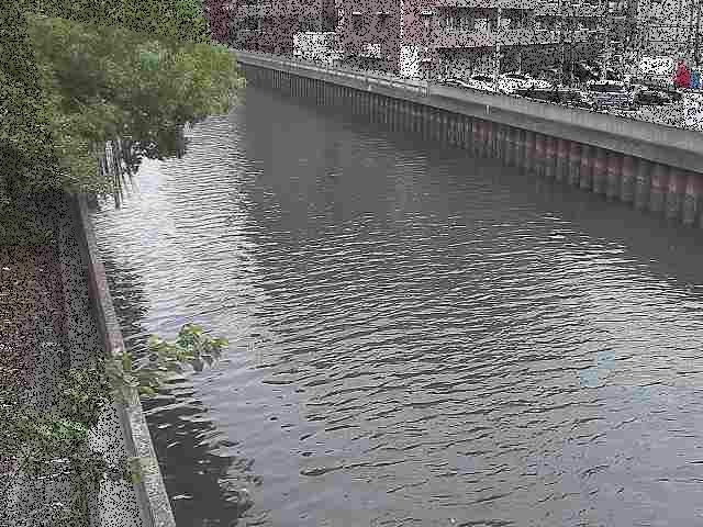 新田間川 新田間橋付近のカメラ画像