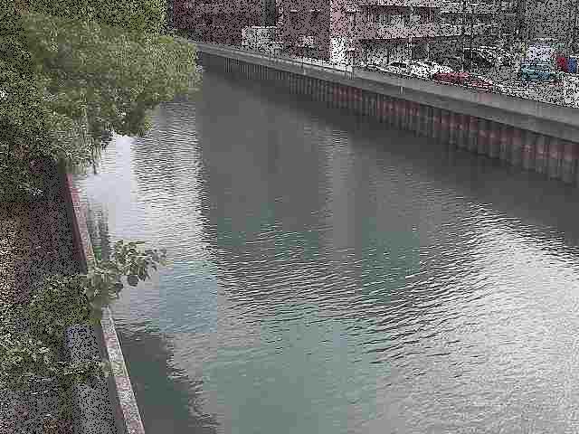 新田間橋付近のカメラ画像