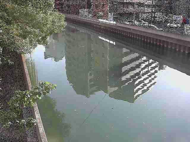 新田間橋付近のカメラ画像