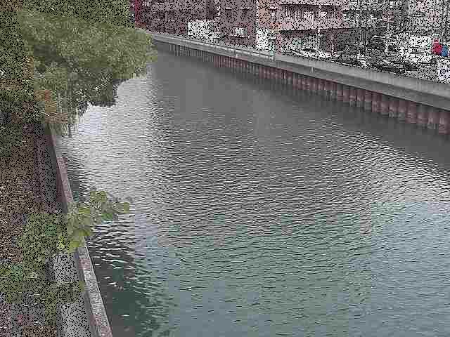 新田間橋付近のカメラ画像